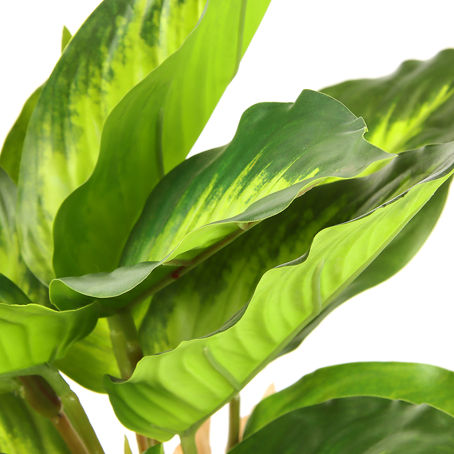 Бонсай в горшке "Диффенбахия" 9х33 см 9750510