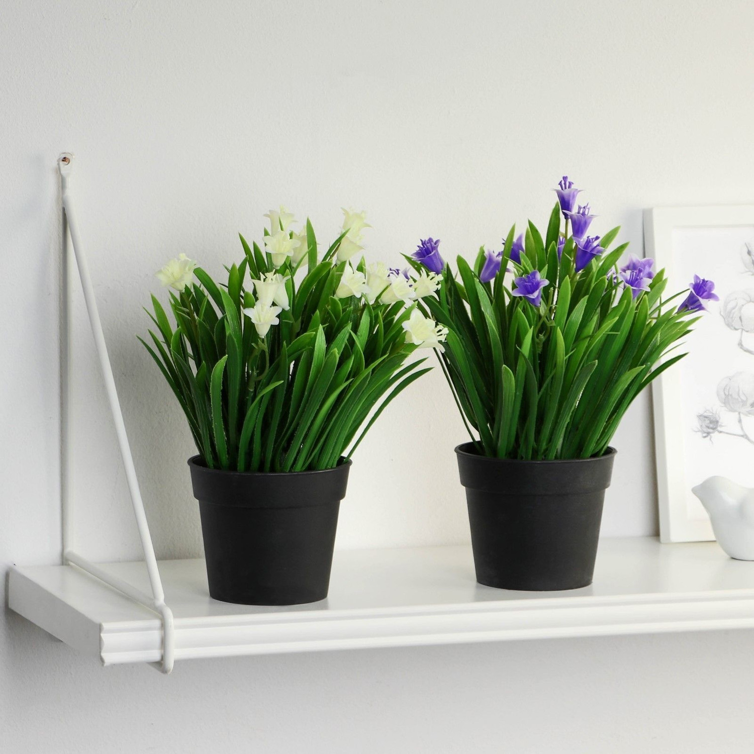 Бонсай в горшке "Гусмания и зелень" 9х18 см  9750513