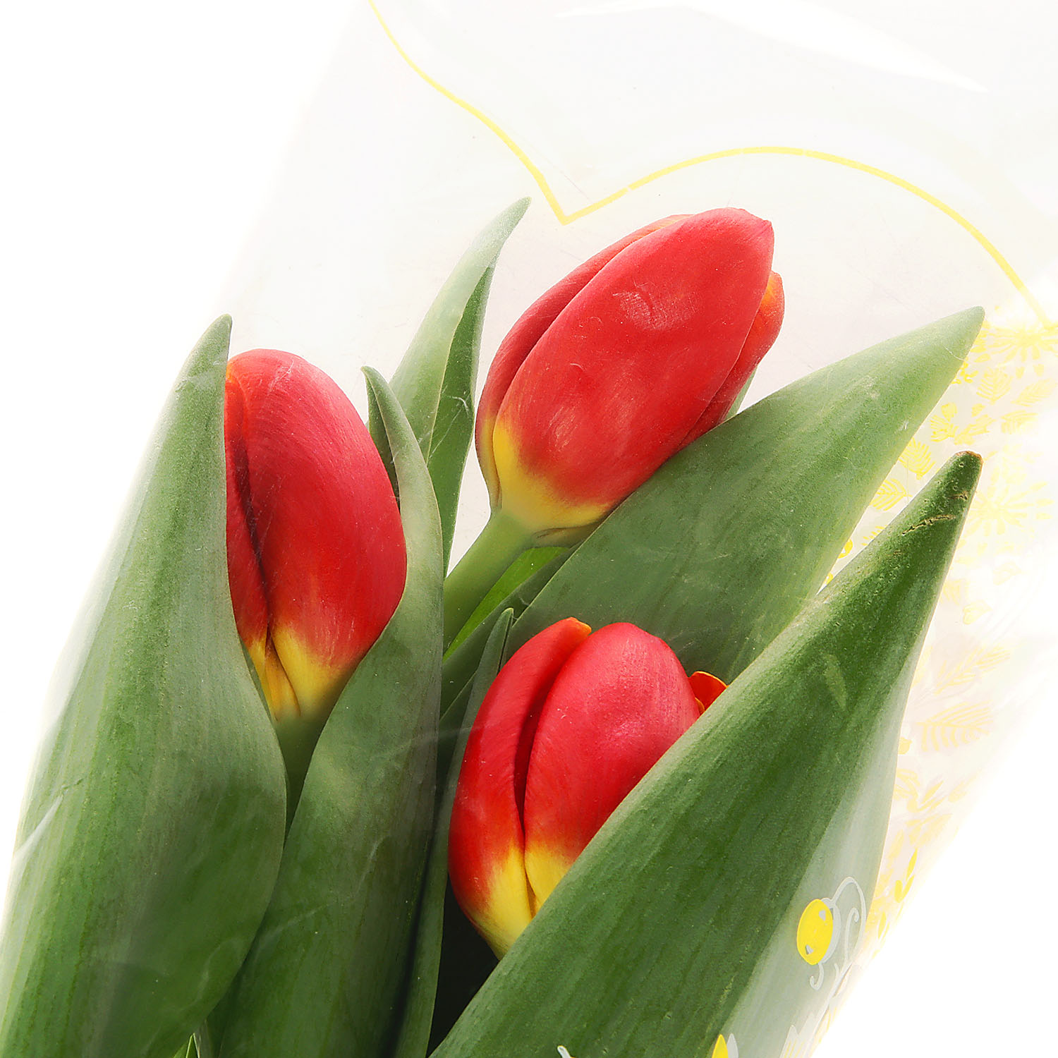 Тюльпан 1шт