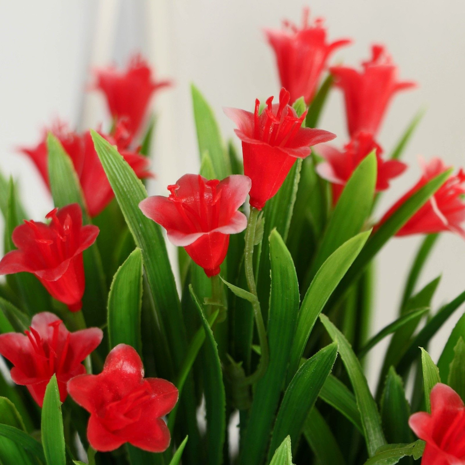 Бонсай в горшке "Гусмания и зелень" 9х18 см  9750513