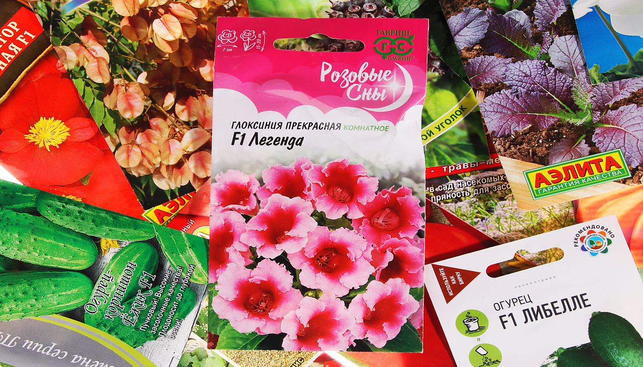 Семена_2 (5).jpg