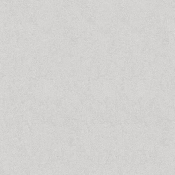 яяяОбои флиз "AS Палитра" Аспект Бруно фон (сер.) 70621-42 1,06*10м *1/6