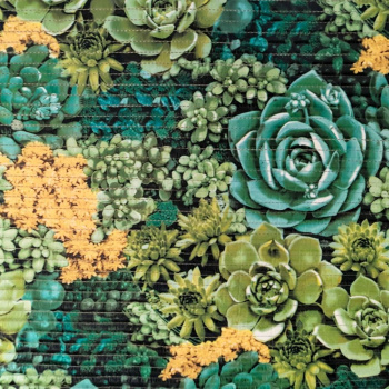 Коврик д/ванной "V-line" ПВХ Bubbles (38см х 69см) FV44-B Суккуленты *2/10