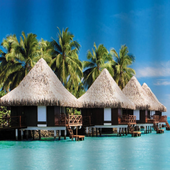 Штора для ванной "Санакс" п/эстер 180*180см "Райский остров" BRIMIX без колец 02-14 *1/24