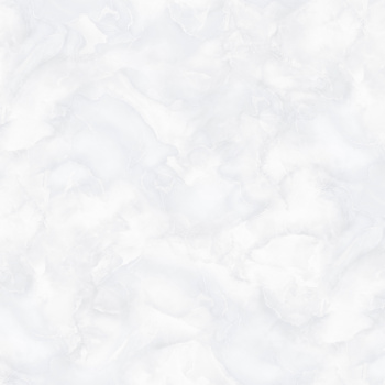 Обои флиз "Антураж" TENERO фон (св.-сер.) AN9041-12 10*1,06м *6