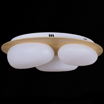 Люстра светодиодная Reluce 10009-0.3-60W AEROLITE, 60 Вт, 3000-6500 K, пульт д/у, диммер, цвет коричневый Люстра светодиодная Reluce 10009-0.3-60W AEROLITE, 60 Вт, 3000-6500 K, пульт д/у, диммер, цвет коричневый