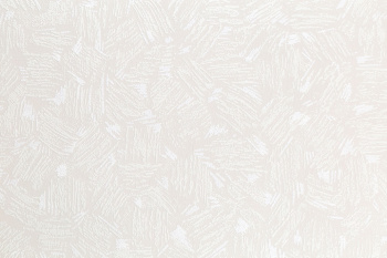 Обои винил "HomeColor" HC11046-25 0.53*10м *16