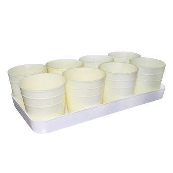 Набор стаканов 500 мл для рассады, 8 шт., поддон 42х22 см, пластик